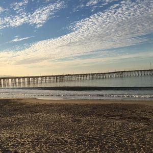 Meet your Posher, Danny